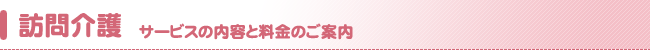 K - T[rX̓eƗ̂ē -