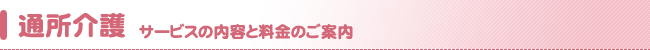 ʏifCT[rXj- T[rX̓eƗ̂ē -