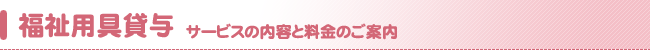pݗ^